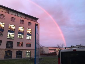 IMG_3330